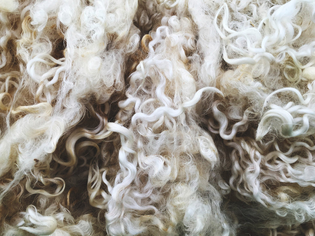 Blog 1: Did you know this about wool? - Hannes wool store